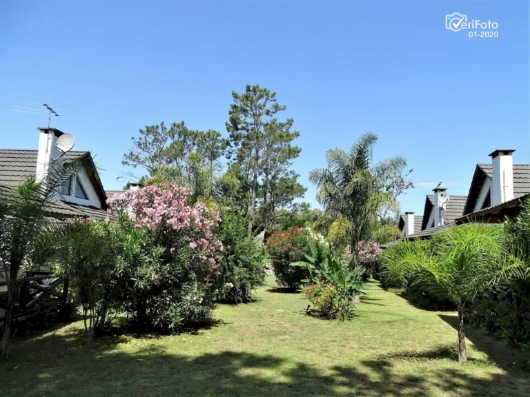 aJardines y piscina climatizada de Bungalows Punta Colorada