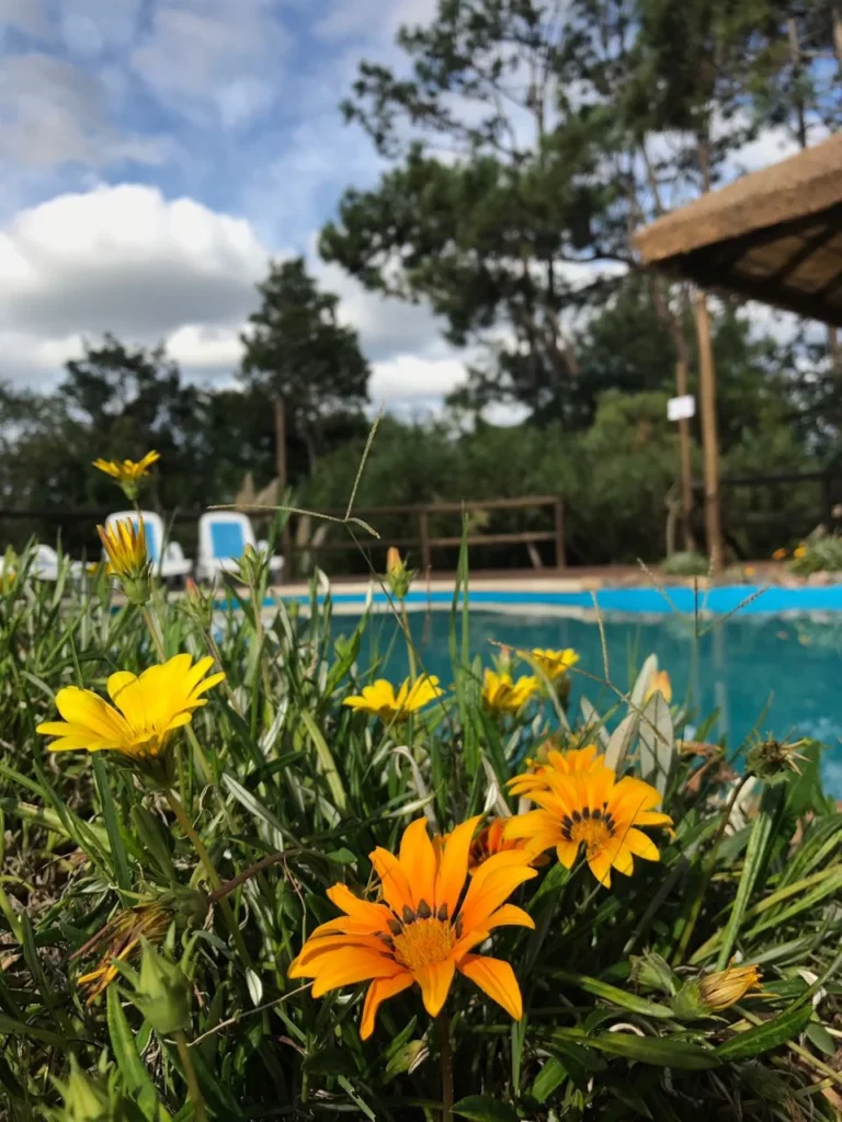 115-piscina-climatizada-bungalows-punta-colorada-07