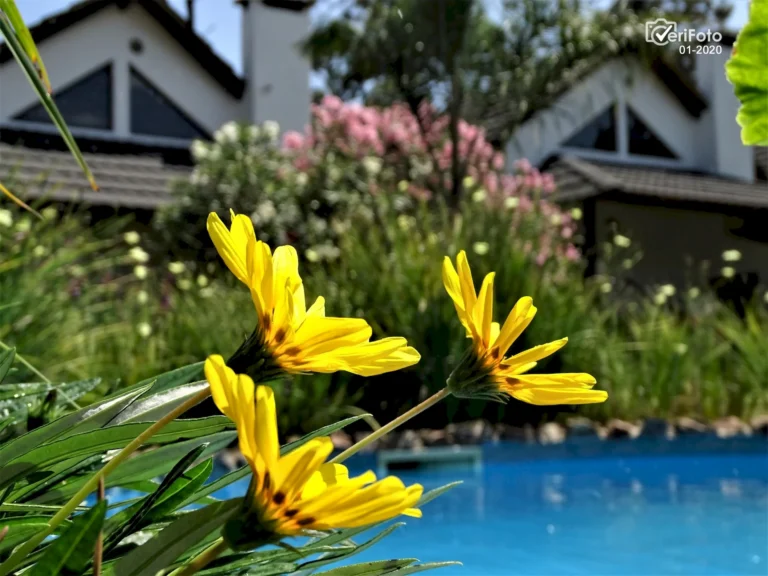 116-piscina-climatizada-bungalows-punta-colorada-08