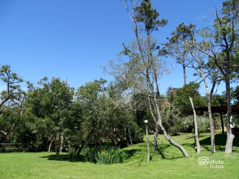 118-jardin-florido-entorno-natural-bungalows-punta-colorada