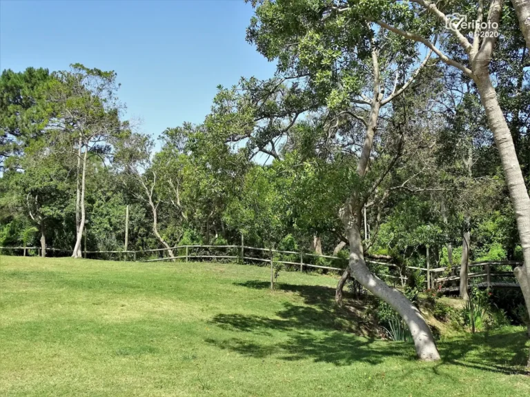 125-parque-y-entorno-natural-bungalows-punta-colorada
